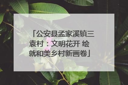 公安县孟家溪镇三袁村：文明花开 绘就和美乡村新画卷