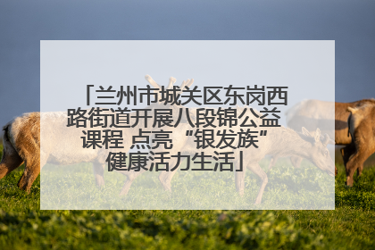 兰州市城关区东岗西路街道开展八段锦公益课程 点亮“银发族”健康活力生活
