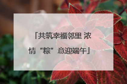 共筑幸福邻里 浓情“粽”意迎端午