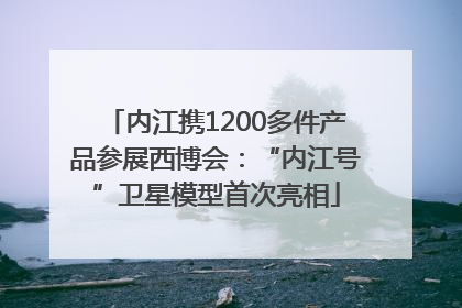 内江携1200多件产品参展西博会：“内江号”卫星模型首次亮相