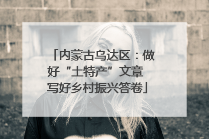 内蒙古乌达区：做好“土特产”文章 写好乡村振兴答卷