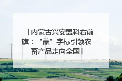 内蒙古兴安盟科右前旗：“蒙”字标引领农畜产品走向全国
