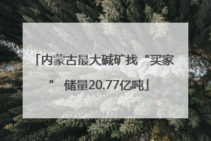 内蒙古最大碱矿找“买家” 储量20.77亿吨