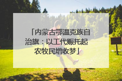 内蒙古鄂温克族自治旗：以工代赈托起农牧民增收梦