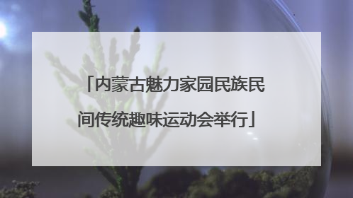 内蒙古魅力家园民族民间传统趣味运动会举行