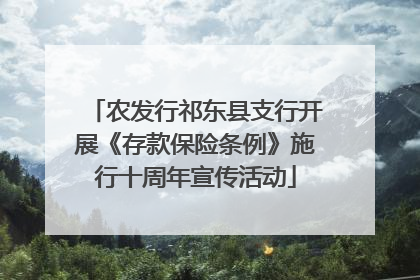 农发行祁东县支行开展《存款保险条例》施行十周年宣传活动