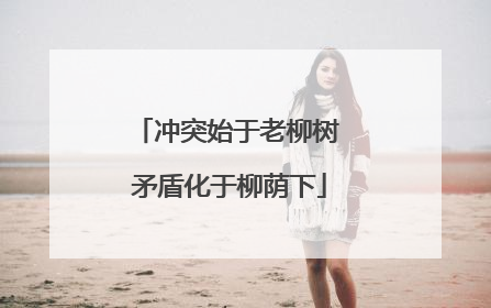 冲突始于老柳树 矛盾化于柳荫下