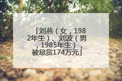 刘燕（女，1982年生）、刘波（男，1985年生），被悬赏174万元