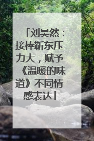 刘昊然：接棒靳东压力大，赋予《温暖的味道》不同情感表达