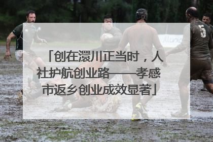 创在澴川正当时，人社护航创业路——孝感市返乡创业成效显著