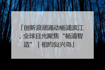 创新浪潮涌动杨浦滨江，全球目光聚焦“杨浦智造”｜相约复兴岛