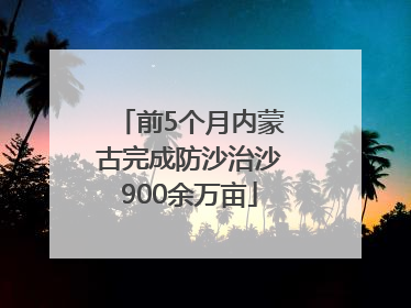 前5个月内蒙古完成防沙治沙900余万亩