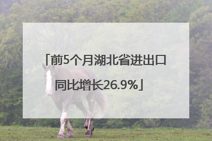前5个月湖北省进出口同比增长26.9%