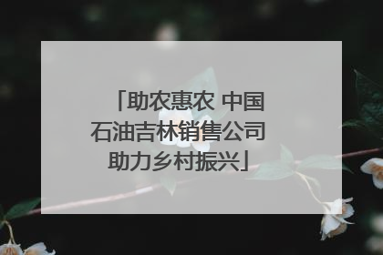 助农惠农 中国石油吉林销售公司助力乡村振兴