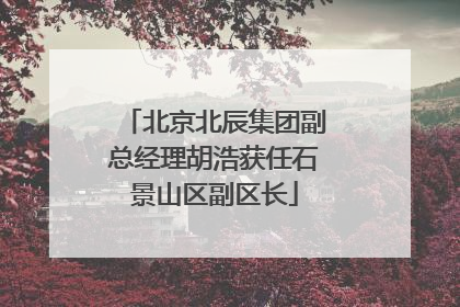 北京北辰集团副总经理胡浩获任石景山区副区长