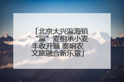 北京大兴瀛海镇“瀛”麦相承小麦丰收开镰 奏响农文旅融合新乐章