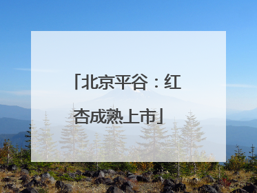 北京平谷：红杏成熟上市