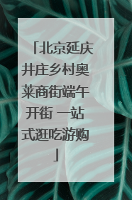 北京延庆井庄乡村奥莱商街端午开街 一站式逛吃游购