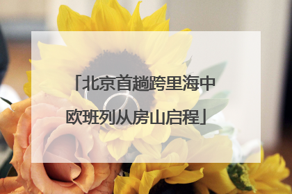 北京首趟跨里海中欧班列从房山启程