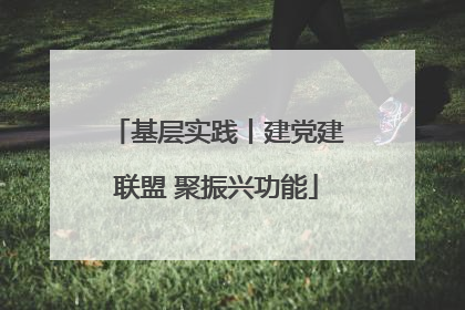 基层实践丨建党建联盟 聚振兴功能