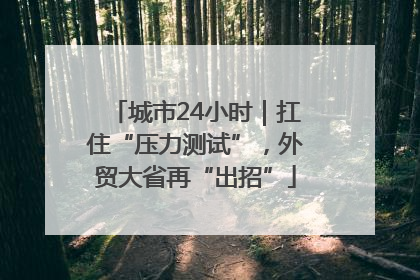 城市24小时｜扛住“压力测试”，外贸大省再“出招”