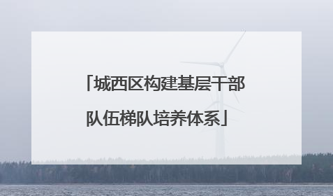 城西区构建基层干部队伍梯队培养体系