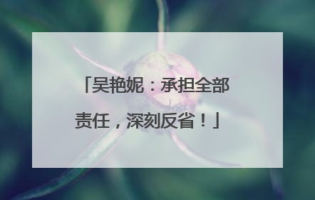 吴艳妮：承担全部责任，深刻反省！