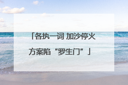 各执一词 加沙停火方案陷“罗生门”