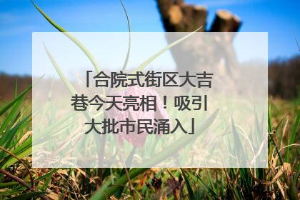 合院式街区大吉巷今天亮相！吸引大批市民涌入