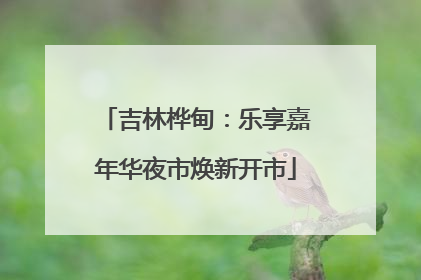 吉林桦甸：乐享嘉年华夜市焕新开市