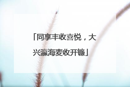 同享丰收喜悦，大兴瀛海麦收开镰