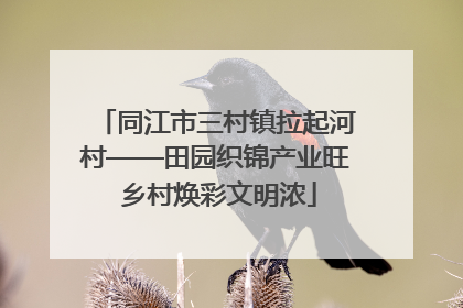 同江市三村镇拉起河村——田园织锦产业旺 乡村焕彩文明浓