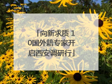 向新求质 10国外籍专家开启西安调研行