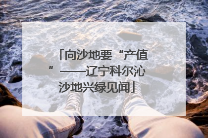 向沙地要“产值”——辽宁科尔沁沙地兴绿见闻