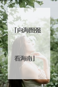 向海图强看海南