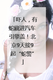 吓人，有蛇藏进汽车引擎盖！北京9天接9起“蛇警”
