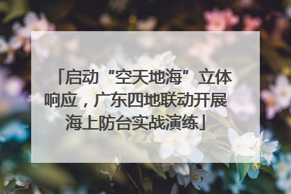启动“空天地海”立体响应，广东四地联动开展海上防台实战演练