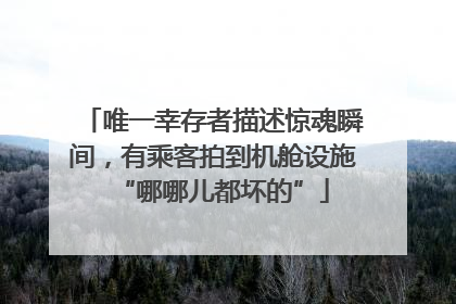 唯一幸存者描述惊魂瞬间，有乘客拍到机舱设施“哪哪儿都坏的”
