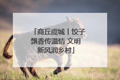 商丘虞城丨饺子飘香传温情 文明新风润乡村