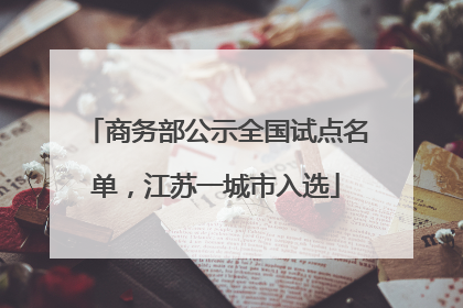商务部公示全国试点名单，江苏一城市入选