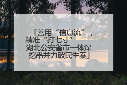 善用“信息流”，精准“打七寸”——湖北公安省市一体深挖串并力破民生案