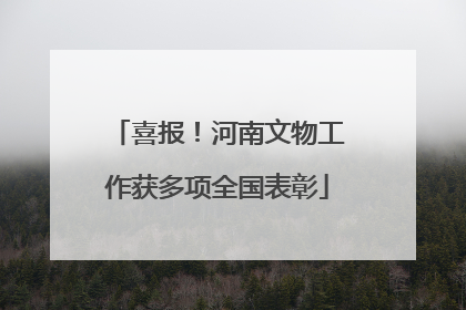 喜报！河南文物工作获多项全国表彰