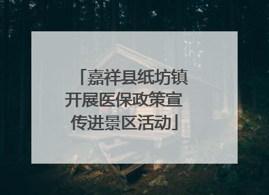 嘉祥县纸坊镇开展医保政策宣传进景区活动
