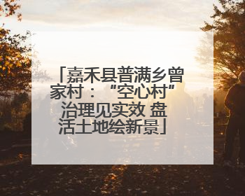 嘉禾县普满乡曾家村：“空心村” 治理见实效 盘活土地绘新景