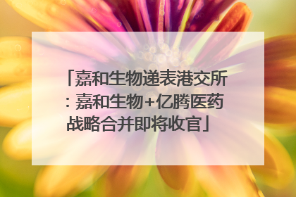 嘉和生物递表港交所：嘉和生物+亿腾医药战略合并即将收官