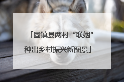 固镇县两村“联姻”种出乡村振兴新图景