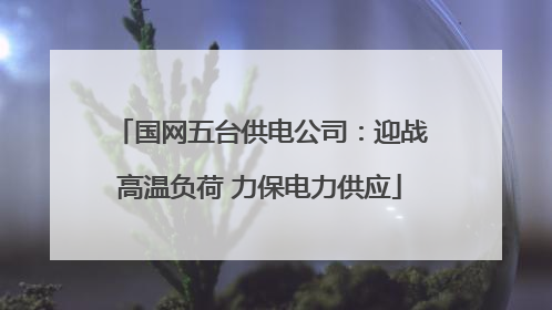 国网五台供电公司：迎战高温负荷 力保电力供应
