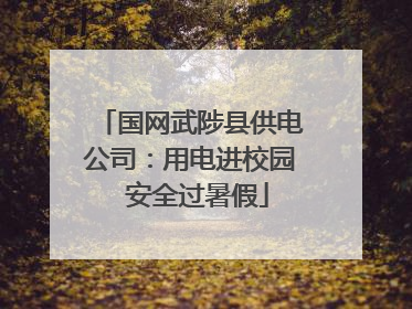国网武陟县供电公司：用电进校园  安全过暑假