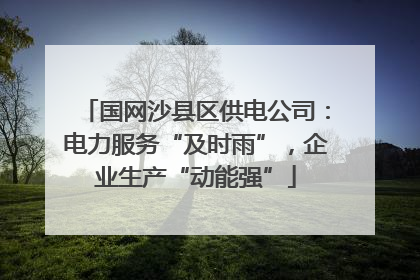 国网沙县区供电公司：电力服务“及时雨”，企业生产“动能强”