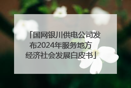 国网银川供电公司发布2024年服务地方经济社会发展白皮书